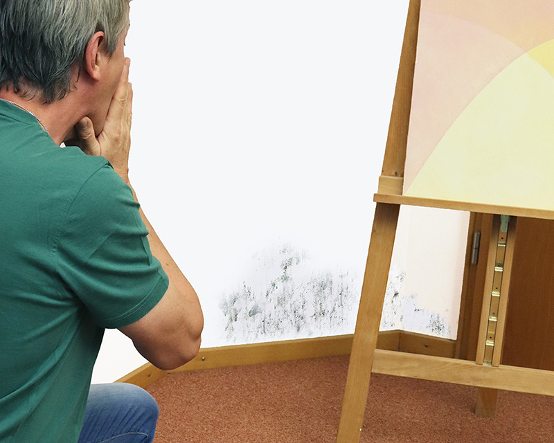 Naturkalk gegen Schimmel und feuchte Wände