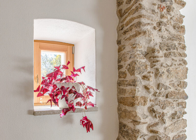 Wand mit HAGA Kalkputz Calkosit
