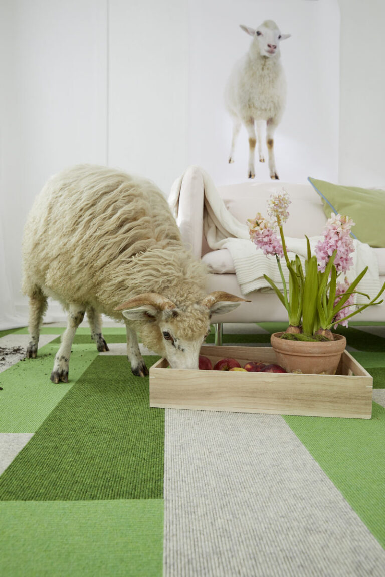 grün-grauer Teppich mit Schaf und Hyazinthen