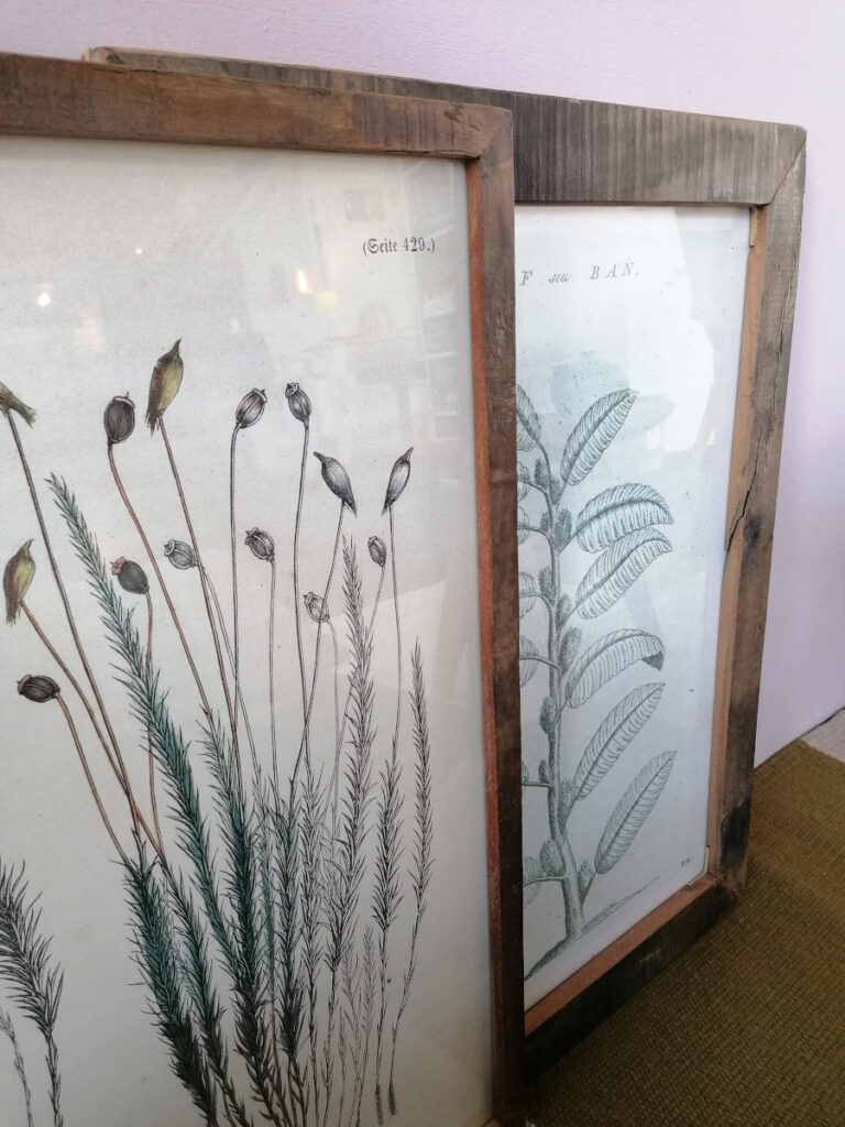 Nahansicht Holzbilderrahmen mit Bildern von Trockenblumen