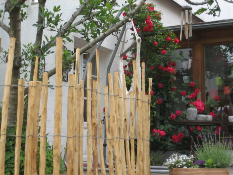 Nahaufnahme Lattenzaun mit Rose im Hintergrund