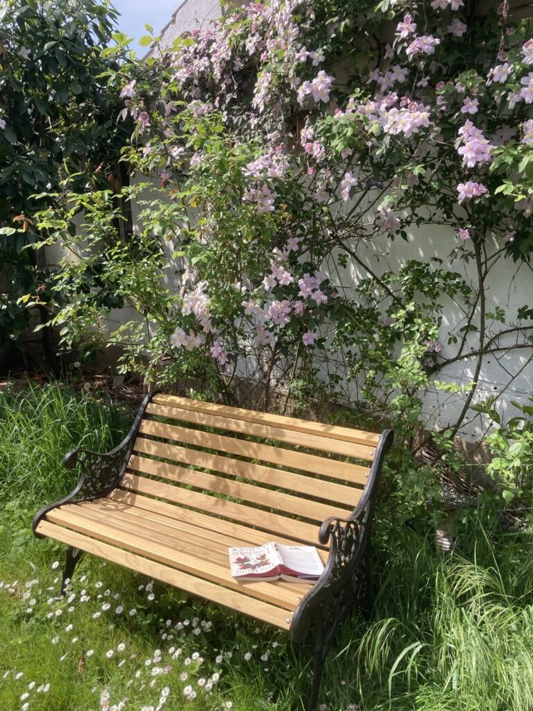 klassische Gartenbank mit schwarzem Gestell und Holzleisten