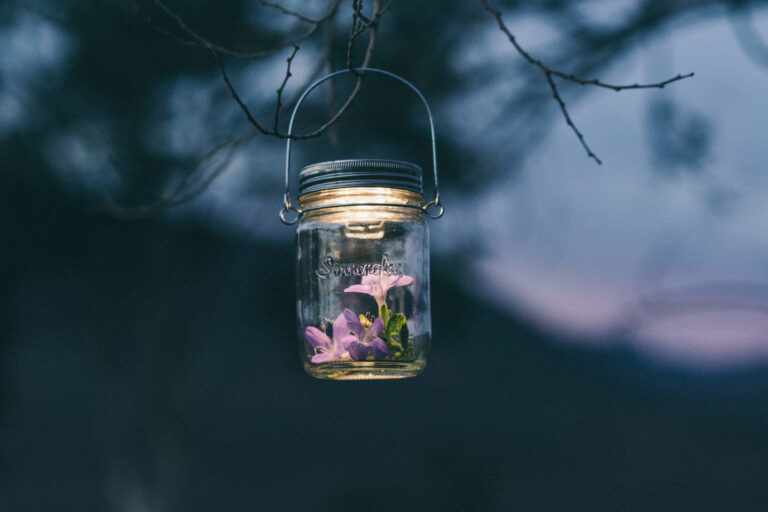 Sonnenglas gefüllt mit lila Blüten hängt an einem herbstlichen Ast